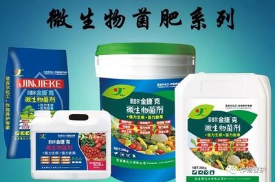 科學施用菌肥 掌握7大關鍵注意事項與規避6大無效原因