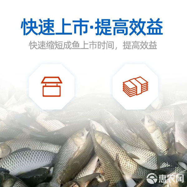 魚滿多 生物制劑賦能水產養殖肥料新篇章